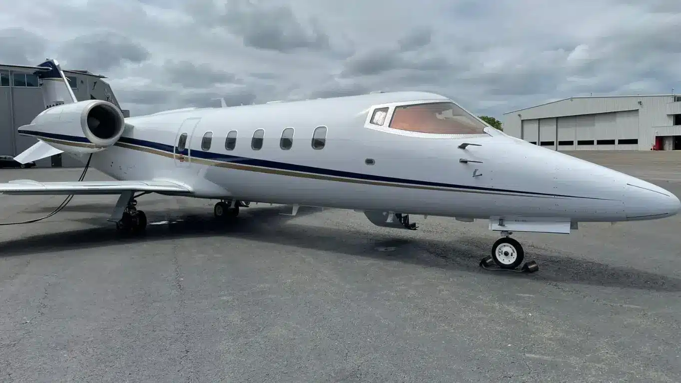 Small dog private aviation cabin — fly with your small dog